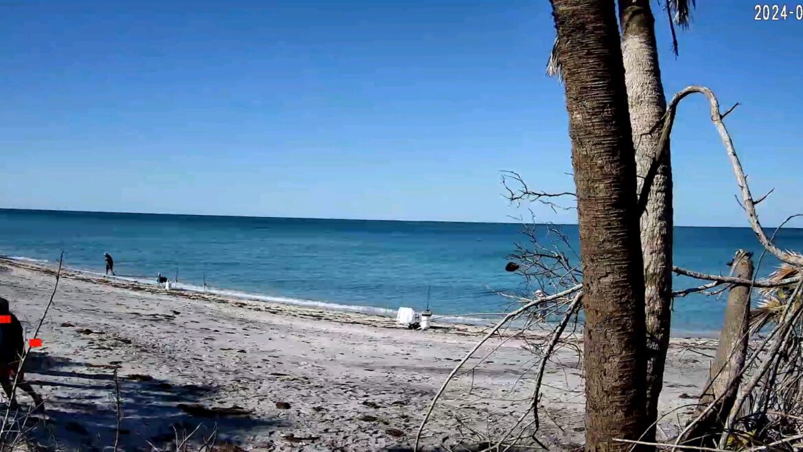 South Venice Beach Cam Now Working!