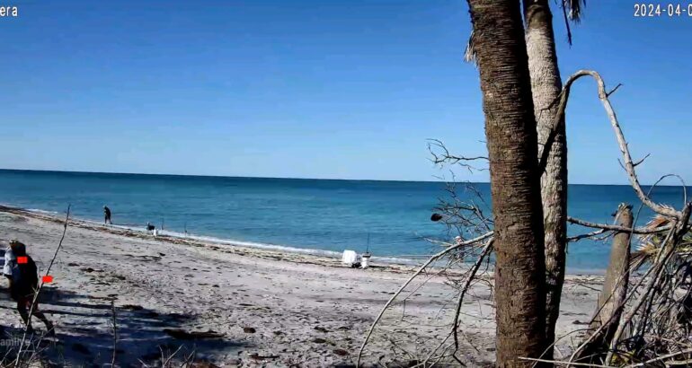 South Venice Beach Cam Now Working!